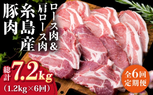 【全6回定期便】糸島産豚ロース肉6枚 肩ロースカツ5枚 合計11枚セット《糸島》【糸島ミートデリ工房】 [ACA230]