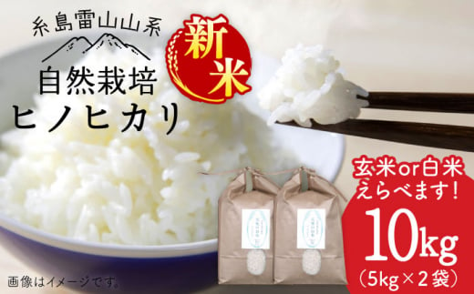 【新米予約受付中】＼令和6年産／自然栽培 ヒノヒカリ 10kg 《糸島》【大石ファーム】 [ATE002]