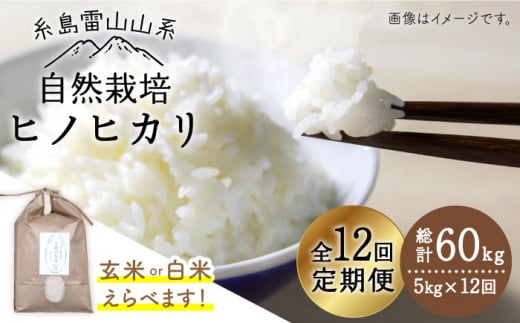 【 全12回 定期便 】 自然栽培 ヒノヒカリ 5kg 《糸島》【大石ファーム】 [ATE019]