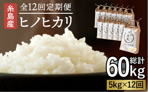 【全12回定期便】糸島産 ヒノヒカリ 5kg×12回 糸島市 / 糸島王丸農園 ( 谷口汰一 )【いとしまごころ】 [AAZ013]