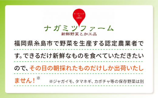 【全6回定期便】糸島の朝産み黄金タマゴ10個 朝どれ新鮮野菜5品 セット【福岡県糸島産】 糸島市 / オーガニックナガミツファーム 玉子 やさい [AGE048]