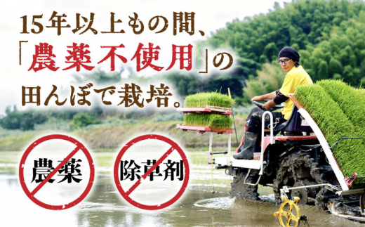 【全3回定期便】 糸島産 雷山のふもとの米 農薬不使用 5kg 糸島市 / ツバサファーム [ANI003] 白米 玄米