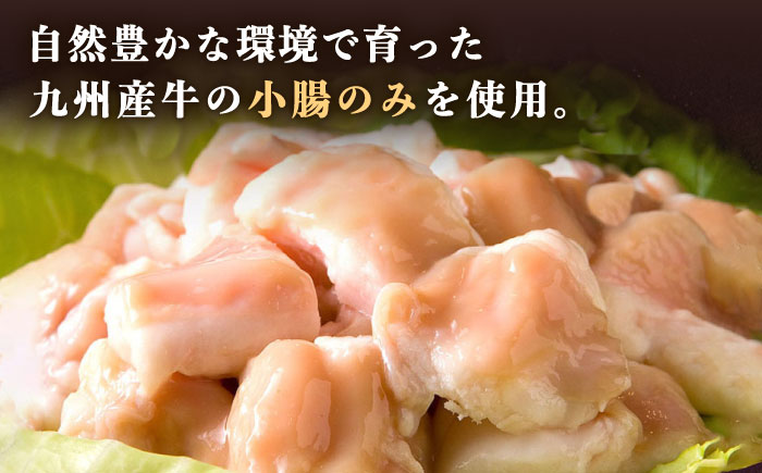 【全3回定期便】【本場博多で歴史のある 博多 浜や】 国産 ・ 無添加 もつ鍋 セット  （約4人前） 旨辛みそ味 糸島市 / 博多 浜や [AFF021] もつ鍋 もつなべ 鍋セット なべ モツ 冷凍 牛 うし