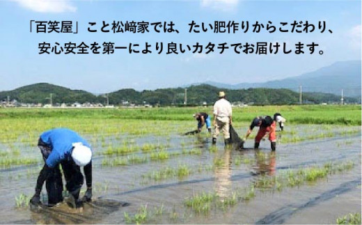 【令和6年産新米】【 栽培期間中農薬不使用 】米 旋風 ヒノヒカリ 玄米 5kg 糸島市 / 百笑屋 [ABF007]