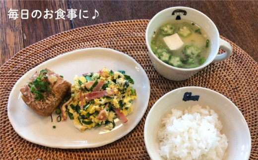 [お茶わんのみ名入れ可]子供のうつわセット（女の子用）≪糸島≫【ととうや】茶碗/食器/器/オリジナル/ストライプ/子供用/家族/ギフト [AVB005]