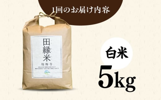 【全3回定期便】 田縁米(でんえんまい)・瑞梅寺(ずいばいじ) 白米 5kg 糸島市 / NPO法人田縁プロジェクト 米 白米 [ATM006]