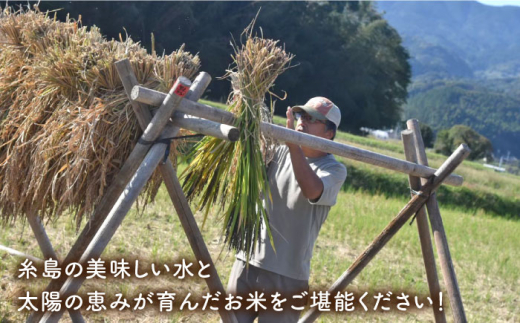 【新米受付中】＼令和6年産／ 糸島産 餅米 1kg 自然栽培 天日干し 【2024年11月下旬以降順次発送】 糸島市 / 大石ファーム もち米 餅 [ATE041]