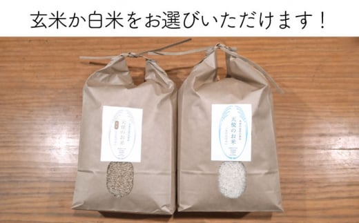 【 全6回 定期便 】糸島産 ミルキークイーン 10kg 自然栽培 《糸島》【大石ファーム】 [ATE030]