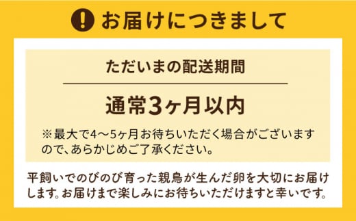 【プリップリな卵黄！】つまんでご卵 40個セット 卵 たまご 糸島 / 緑の農園 [AGA011] ランキング 上位 人気 おすすめ 生卵 鶏卵