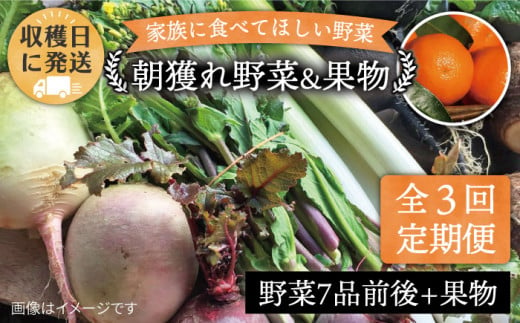 【 全3回 定期便 】 こだわり 野菜  ( 7品 前後 ) セット ＋ 果物 《糸島》【オーガニックナガミツファーム】 [AGE007]