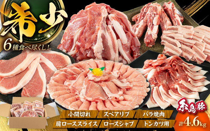合計4.6kg！糸島豚 食べ尽くし セット ( とんかつ / 肩ロース / しゃぶしゃぶ / 豚バラ / スペアリブ / 小間切れ ) 糸島 / トラヤミートセンター [AJD005] 国産 豚肉 とんかつ 豚肉 セット スライス しゃぶしゃぶ ロース トンカツ スペアリブ こま切れ