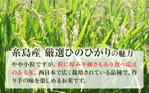 【2024年11月以降順次発送】【全12回定期便】糸島産 いとし米 厳選ひのひかり 10kg 糸島市 / 三島商店 [AIM052]