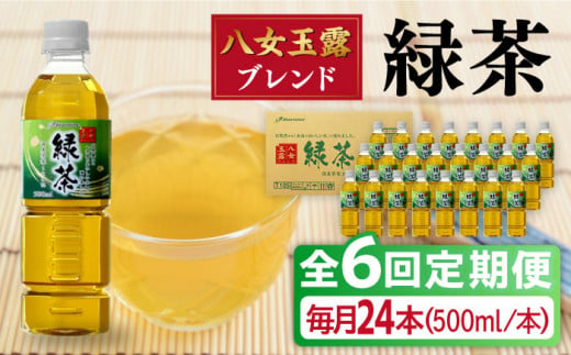 【全6回定期便】八女 玉露入り 緑茶 500ml × 24本  糸島市 / スターナイン お茶 ペットボトル [ARM016]