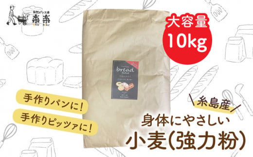 【 業務用 】 伊都 の みのり ( 強力粉 ) 10kg《糸島》 【天然パン工房楽楽】 【いとしまごころ】 [AVC064]