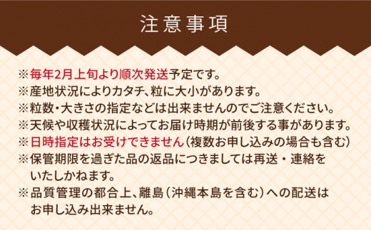 【先行予約】糸島産【春】 あまおう 6パック  【2025年2月上旬以降順次発送】 《糸島》【南国フルーツ株式会社】 [AIK009]