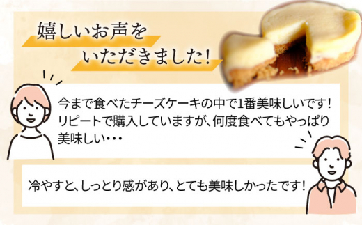 【全12回定期便】無添加チーズの櫻井チーズケーキ【5個入り】 糸島市 / 糸島手作り工房 爽風 [ATA007]