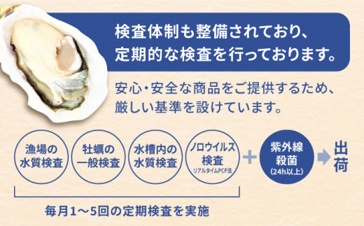 みるくがき 2kg ◆生食可 から付き 活牡蠣 糸島市 / 豊久丸牡蠣 生カキ 生食用 殻付き カキ 生牡蛎 生食可 [AEJ004]