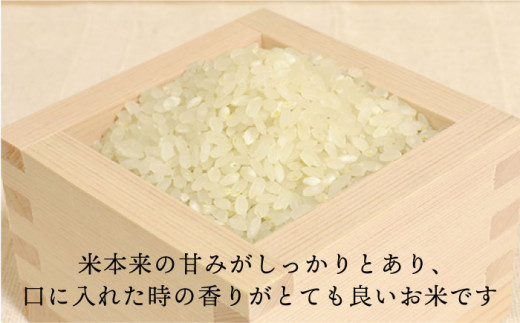 【全3回定期便】 糸島産 夢つくし 5kg × 3回（月1回）糸島市 / 糸島王丸農園 ( 谷口汰一 )【いとしまごころ】[AAZ002]