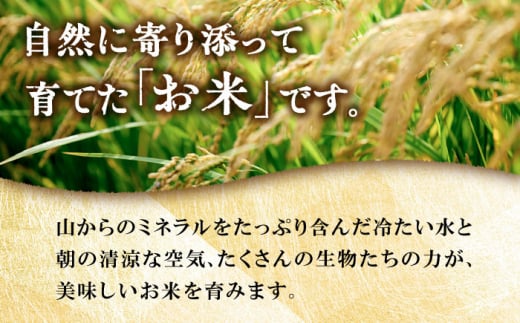 【全3回定期便】 糸島産 雷山のふもとの米 農薬不使用 5kg 糸島市 / ツバサファーム [ANI003] 白米 玄米