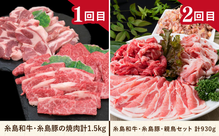 【全12回定期便】糸島・贅沢お肉定期便 毎月3〜4人前 （ 博多和牛 糸島和牛 糸島豚 はかた地どり イノシシ ウインナー シャトーブリアン ステーキ ハム ソーセージ ハンバーグ ） 糸島市 [AAH009] 地鶏 モモ  ハンバーグ ジビエ 肩ロース 焼肉 水炊き お肉 牛肉 豚肉