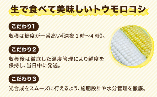 【 先行予約：2025年7月以降順次発送 】 糸島 トウモロコシ 『もきっこ』 白 黄 ミックス （ 8～10本 ） 糸島市 / 内田農業 [AZH003]