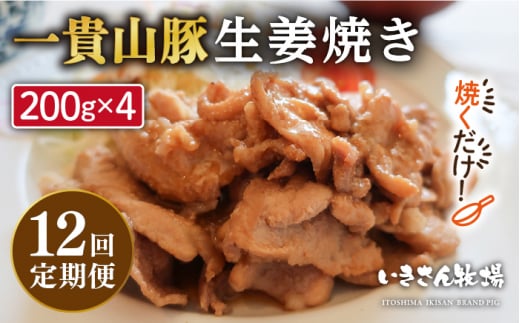 【全12回定期便】焼くだけ定番おかず！一貴山豚 生姜焼き 4パック 糸島市 / いきさん牧場 [AGB018]