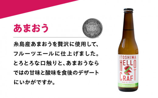 【全12回定期便】【 3種 飲み比べ 】糸島 クラフト ビール 瓶 詰め合わせ 6本 セット 糸島市 / HELLO BREWERY 地ビール ビール [AGM004]