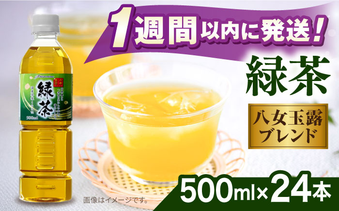 八女 玉露入り 緑茶 500ml × 24本  糸島市 / スターナイン お茶 ペットボトル [ARM004]