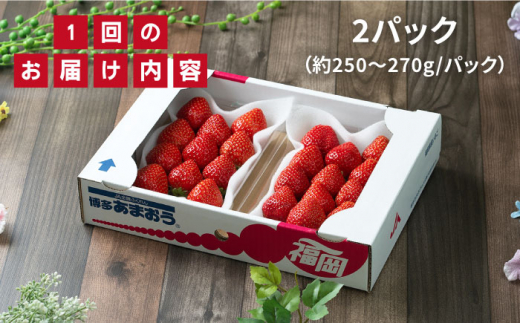 【先行予約】【全2回定期便】【2024年12月より順次発送】糸島産【冬】 あまおう 2パック 毎月計500g 糸島市 / 南国フルーツ株式会社 [AIK025]