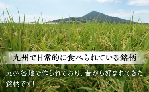 【こだわり精米】令和5年 糸島産 ひのひかり 5kg 糸島市 / RCF 米 お米マイスター [AVM002]