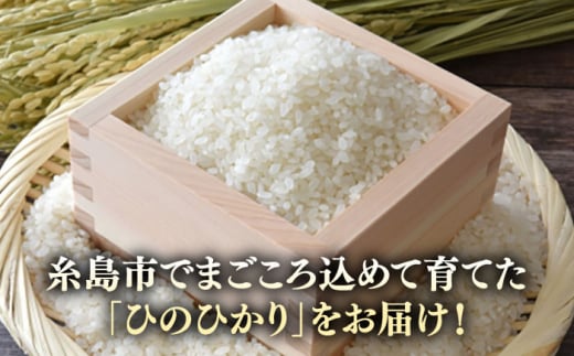 糸島産 ひのひかり 2kg 糸島市 / 糸島ファーム青空 [ASM001] 白米 ヒノヒカリ