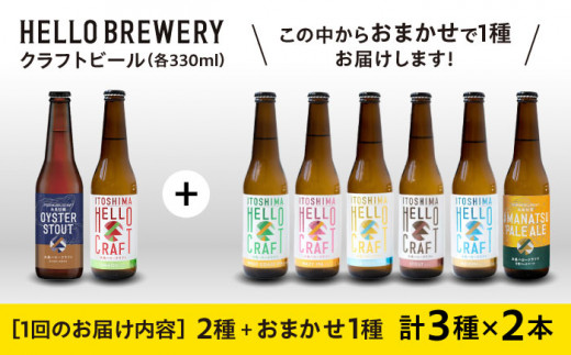 【全6回定期便】【 3種 飲み比べ 】糸島 クラフト ビール 瓶 詰め合わせ 6本 セット 糸島市 / HELLO BREWERY 地ビール ビール [AGM003]