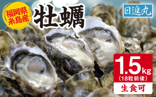 福岡県糸島産 殻付き牡蠣 生食可 1.5kg(18粒前後) 糸島市 / 日進丸 牡蛎 カキ [AWA011]