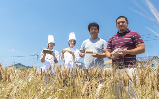 【 つまんでご 卵 】糸島 ロールケーキ & マカロン 5個 詰め合わせ セット《糸島》【緑の農園】卵 たまご 菓子 焼き菓子 ケーキ [AGA003]