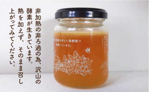 わかまつ 果樹園 の 日本 蜜蜂 の はちみつ 2コ セット 100％ PURE RAW 《糸島》【わかまつ農園】[AHB010]