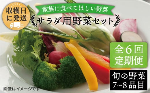 【 全6回 定期便 】 【 福岡県 糸島産 】 サラダ用 野菜 セット 《糸島》 【オーガニックナガミツファーム】 [AGE008]