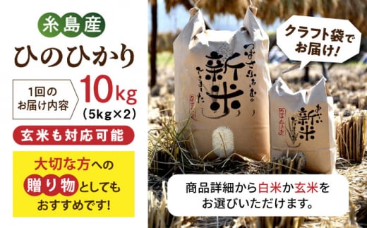 【全6回定期便】 糸島産 雷山のふもとの米 農薬不使用 10kg 糸島市 / ツバサファーム [ANI007] 白米 玄米