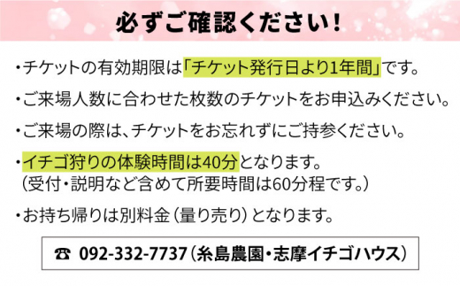 【志摩イチゴハウス】いちご狩り チケット （ 小学生 1名様 分 ） 糸島市 / 株式会社 糸島農園 [APM002]