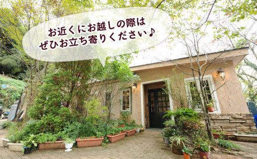 【全3回定期便】一貴山 豚しゃぶ セット糸島市 / いきさん牧場 /鍋 しゃぶしゃぶ 豚しゃぶ 肩ロース ロース つくね バラ 豚バラ [AGB007]