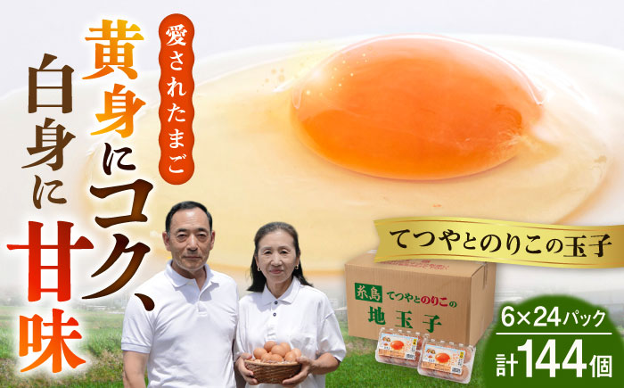 【年内発送】【144個小分け】黄身にコク！白身に甘み！てつやとのりこの玉子（6個入×24P） 板垣ファーム [AWD004]