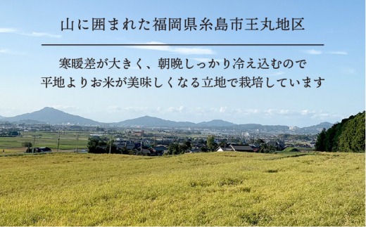 【全12回定期便】糸島産 ヒノヒカリ 5kg×12回 糸島市 / 糸島王丸農園 ( 谷口汰一 )【いとしまごころ】 [AAZ013]