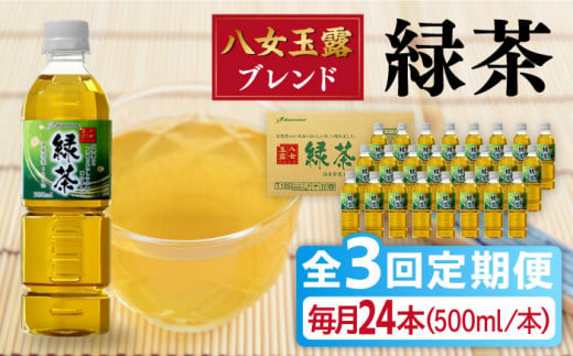 【全3回定期便】八女 玉露入り 緑茶 500ml × 24本  糸島市 / スターナイン お茶 ペットボトル [ARM015]