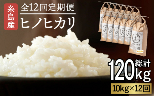 【全12回定期便】糸島産 ヒノヒカリ 10kg×12回　糸島市 / 糸島王丸農園 ( 谷口汰一 )【いとしまごころ】 [AAZ017]