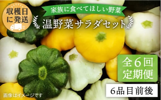 【 全6回 定期便 】 朝採れ 温野菜 サラダ セット （ 6品 前後 ）  《糸島》【オーガニックナガミツファーム】 [AGE020]