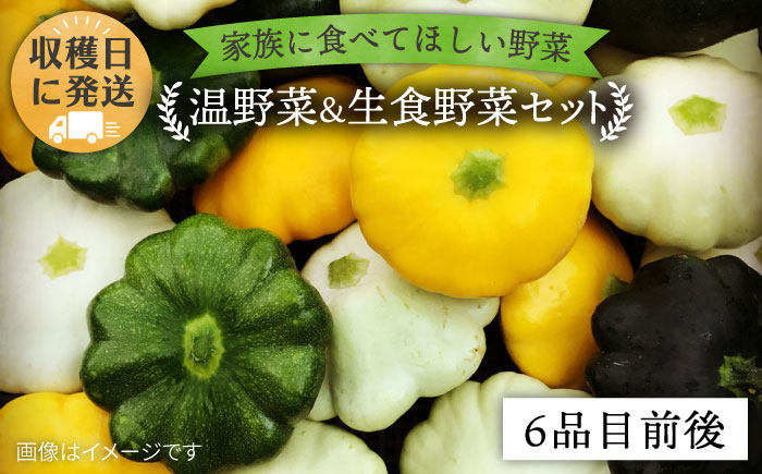 【 栽培期間中農薬 ・ 化学肥料 不使用 】 温野菜＆生食野菜セット （ 6品前後 ） 《糸島》【オーガニックナガミツファーム】  [AGE015]
