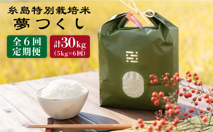 【全6回定期便】 とくべつ の中の とくべつ 糸島 特別栽培米 5kg （ 夢つくし ） 糸島市 / 株式会社やました [ARJ007]