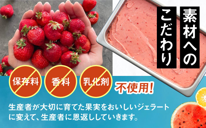 ジェラート ボトル 3個 セット ： ミルク ＆ ソルベ （ ピスタチオ / 塩 / マンゴー ） 糸島 / LoiterMarket ロイターマーケット [AGD007] アイス クリーム アイスクリーム シャーベット