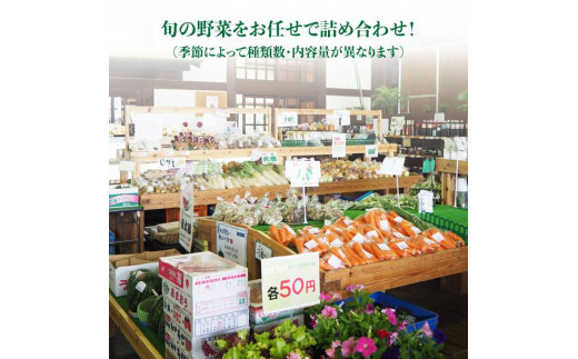 福岡県 糸島産 旬 の 野菜 盛り合わせ セット《糸島》【株式会社フロンティア・アドバンス】 [AWC006]