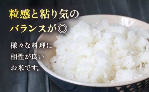 【全6回定期便】いとし米 厳選夢つくし 5kg×6回 (糸島産) 糸島市 / 三島商店 [AIM022]