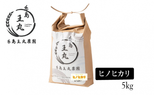 【全12回定期便】糸島産 ヒノヒカリ 5kg×12回 糸島市 / 糸島王丸農園 ( 谷口汰一 )【いとしまごころ】 [AAZ013]